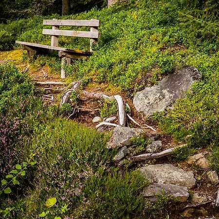 Pariente Отель 3*