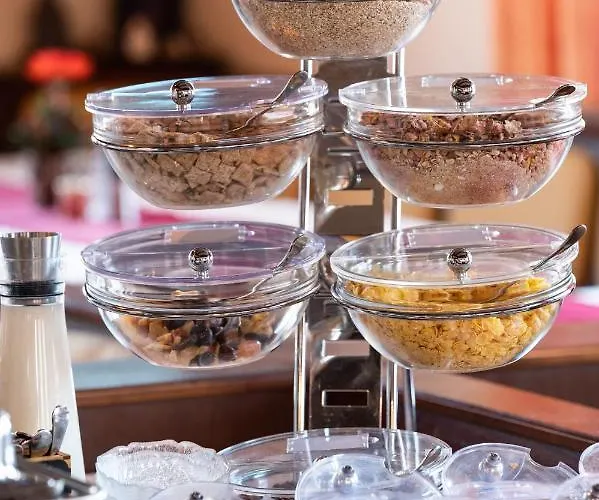 帕里恩特酒店 斯拉德明