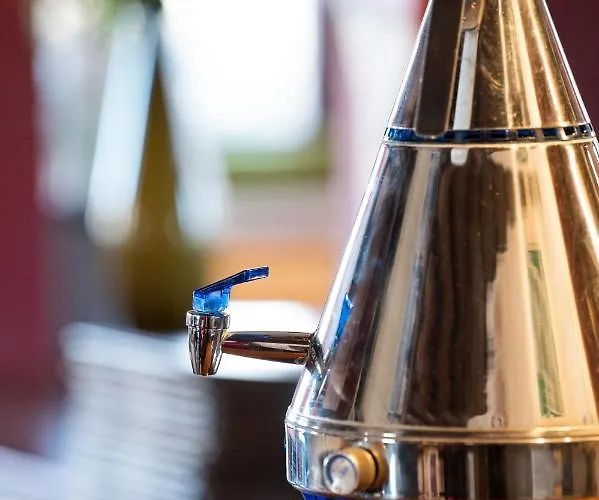 帕里恩特酒店 酒店 3*