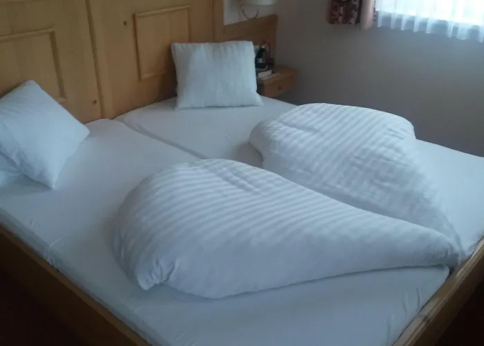 帕里恩特酒店 3* 斯拉德明