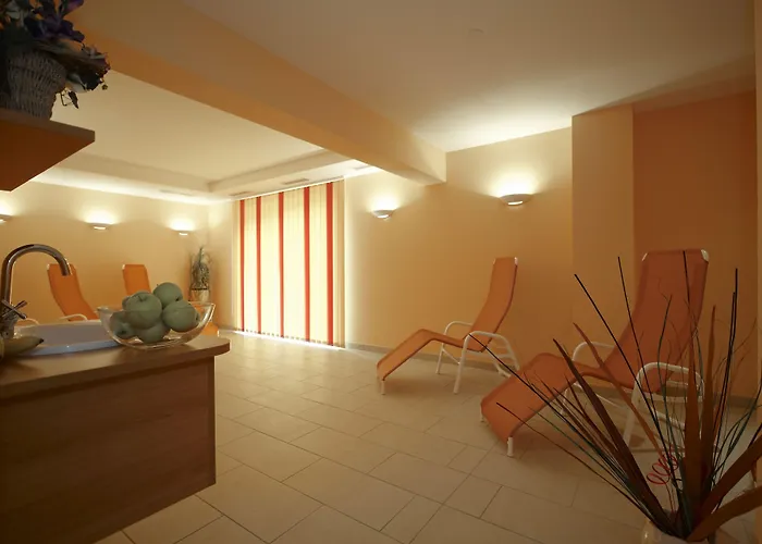 帕里恩特酒店 斯拉德明