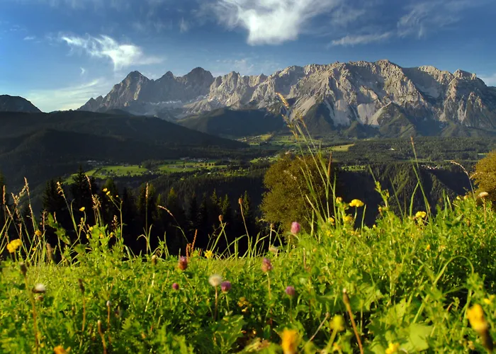 帕里恩特酒店 酒店