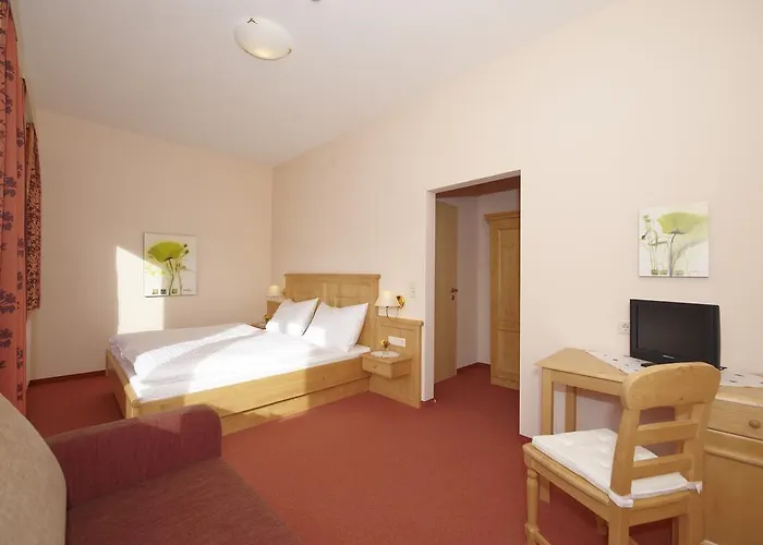 帕里恩特酒店 3* 斯拉德明