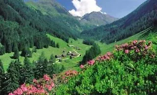 Pariente 3* Schladming