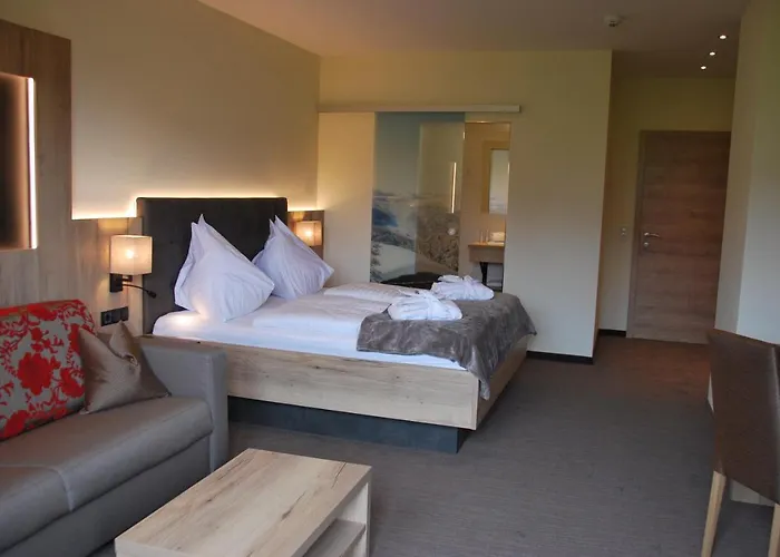 帕里恩特酒店 酒店 3*