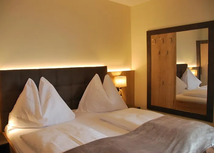 帕里恩特酒店 3* 斯拉德明